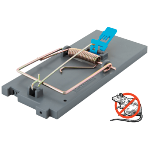 68153 17720035842rrsgi4nne